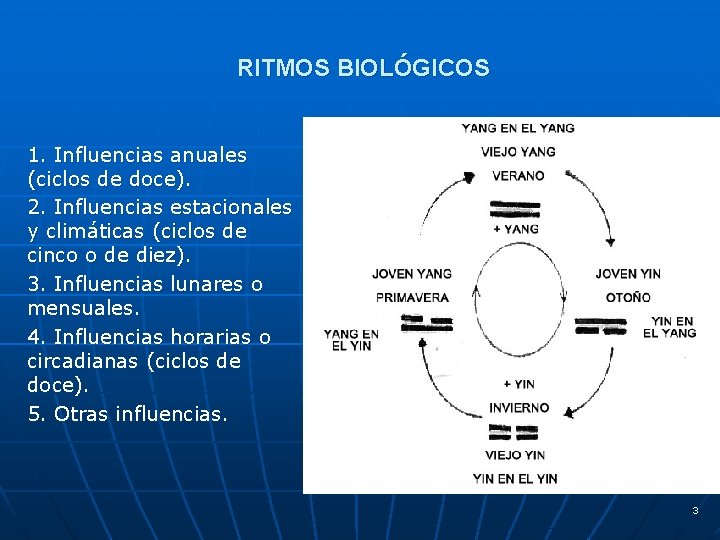 RITMOS BIOLÓGICOS 1. Influencias anuales (ciclos de doce). 2. Influencias estacionales y climáticas (ciclos