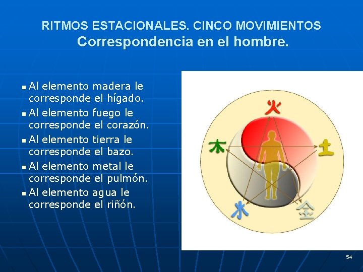 RITMOS ESTACIONALES. CINCO MOVIMIENTOS Correspondencia en el hombre. Al elemento madera le corresponde el