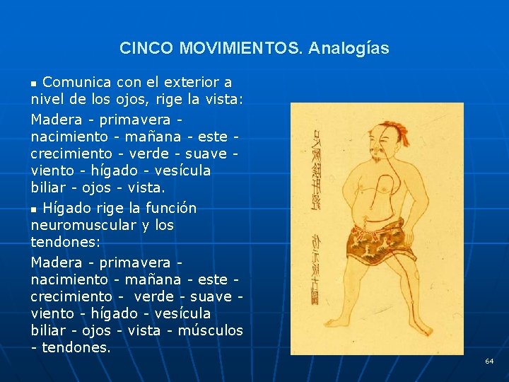 CINCO MOVIMIENTOS. Analogías Comunica con el exterior a nivel de los ojos, rige la