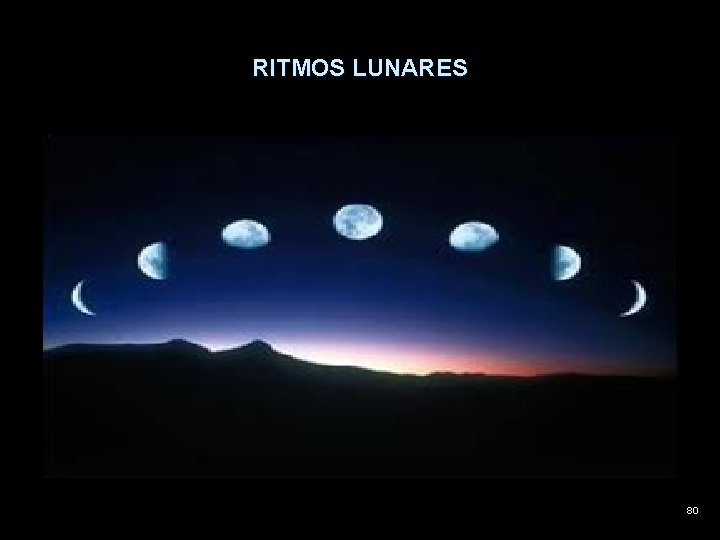 RITMOS LUNARES 80 