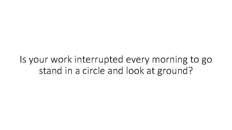 Is your work interrupted every morning to go stand in a circle and look