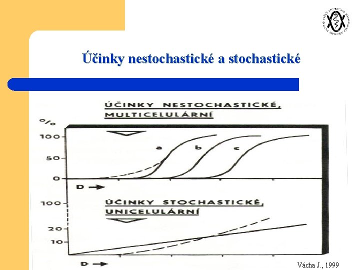 Účinky nestochastické a stochastické Vácha J. , 1999 