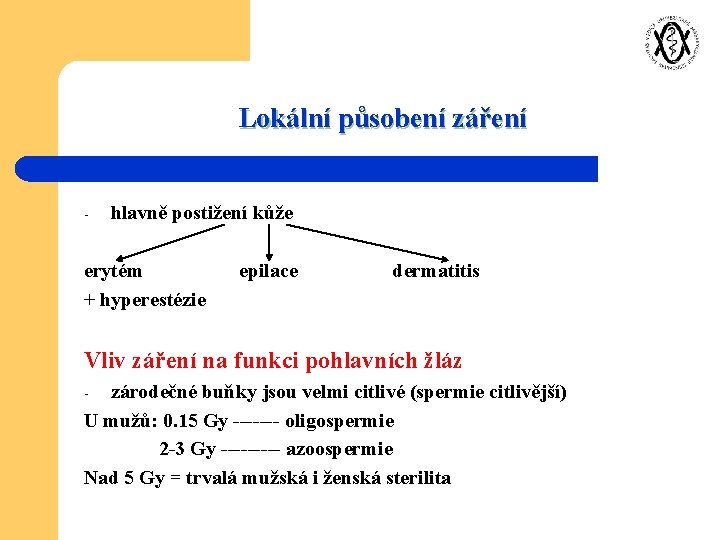 Lokální působení záření - hlavně postižení kůže erytém + hyperestézie epilace dermatitis Vliv záření