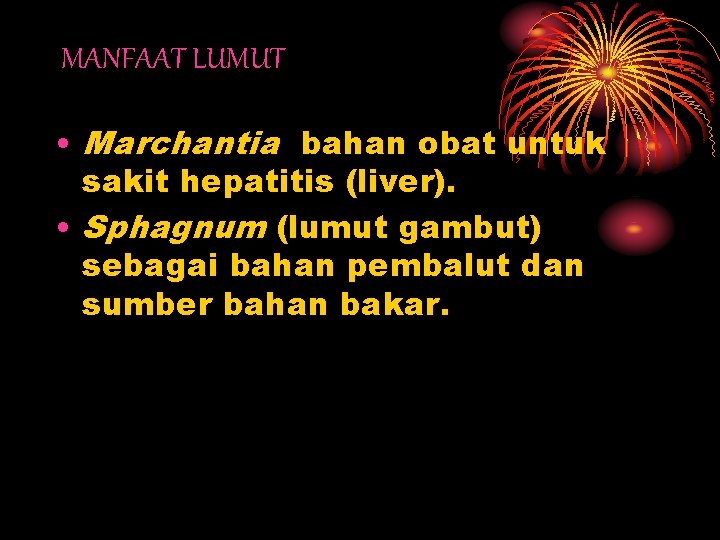 MANFAAT LUMUT • Marchantia bahan obat untuk sakit hepatitis (liver). • Sphagnum (lumut gambut)