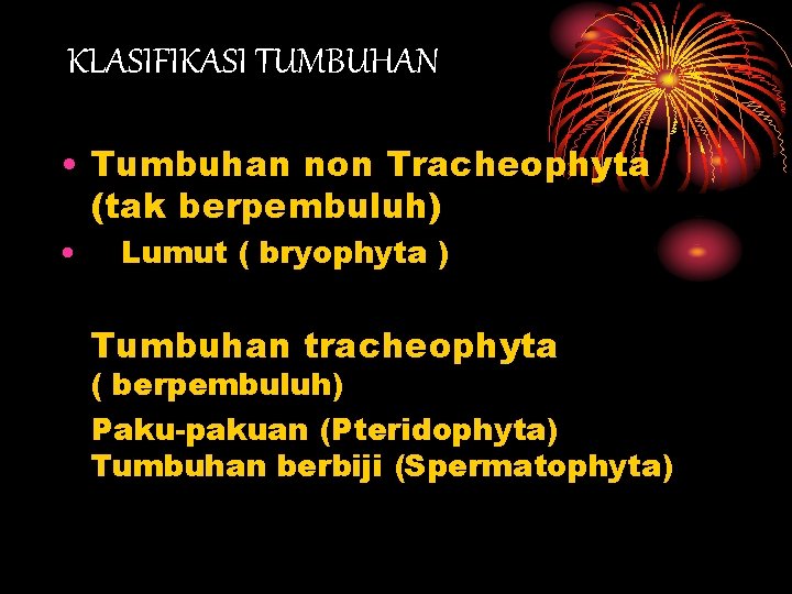 KLASIFIKASI TUMBUHAN • Tumbuhan non Tracheophyta (tak berpembuluh) • Lumut ( bryophyta ) Tumbuhan