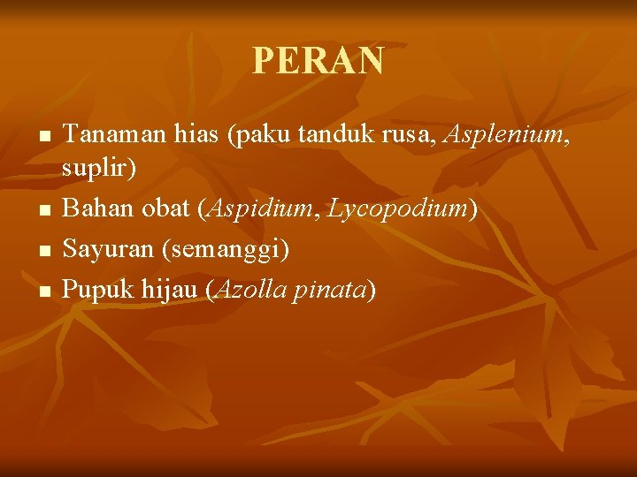 PERAN n n Tanaman hias (paku tanduk rusa, Asplenium, suplir) Bahan obat (Aspidium, Lycopodium)