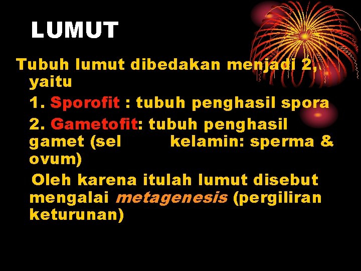 LUMUT Tubuh lumut dibedakan menjadi 2, yaitu 1. Sporofit : tubuh penghasil spora 2. LUMUT Tubuh lumut dibedakan menjadi 2, yaitu 1. Sporofit : tubuh penghasil spora 2.