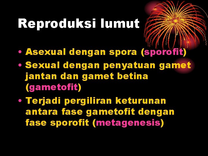 Reproduksi lumut • Asexual dengan spora (sporofit) • Sexual dengan penyatuan gamet jantan dan