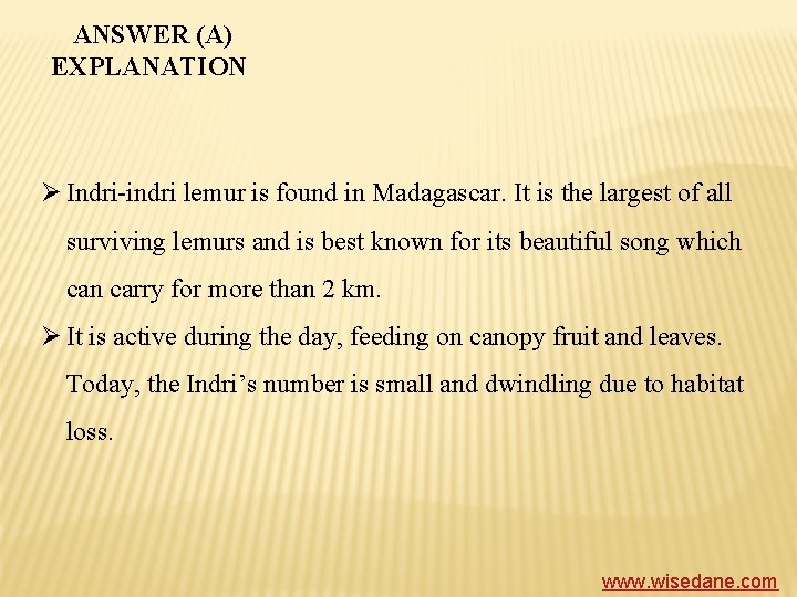 ANSWER (A) EXPLANATION Ø Indri-indri lemur is found in Madagascar. It is the largest