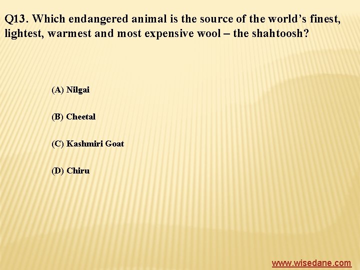 Q 13. Which endangered animal is the source of the world’s finest, lightest, warmest