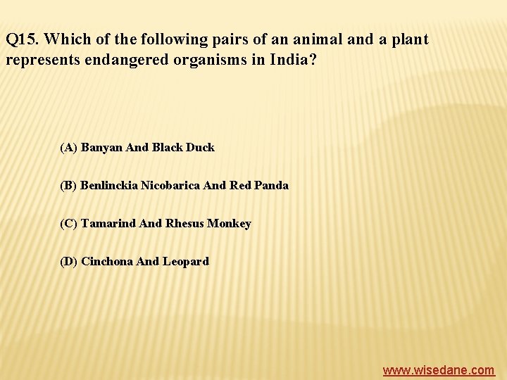 Q 15. Which of the following pairs of an animal and a plant represents