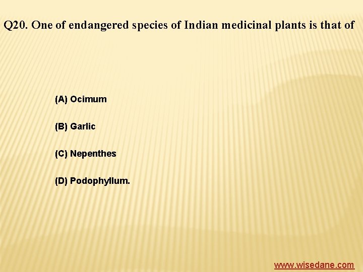 Q 20. One of endangered species of Indian medicinal plants is that of (A)