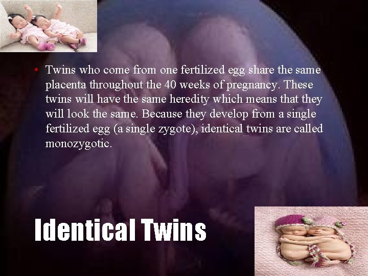  • Twins who come from one fertilized egg share the same placenta throughout