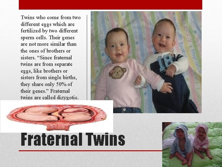 Twins who come from two different eggs which are fertilized by two different sperm