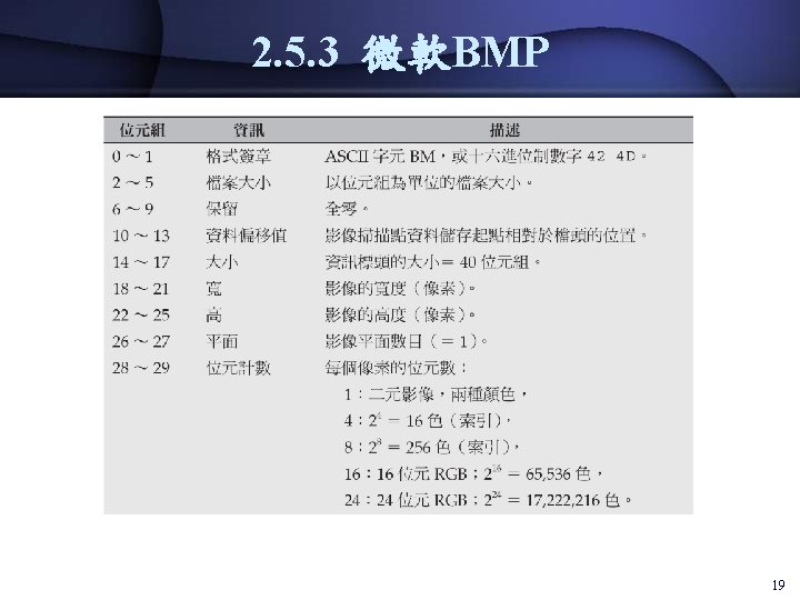 2. 5. 3 微軟BMP 19 