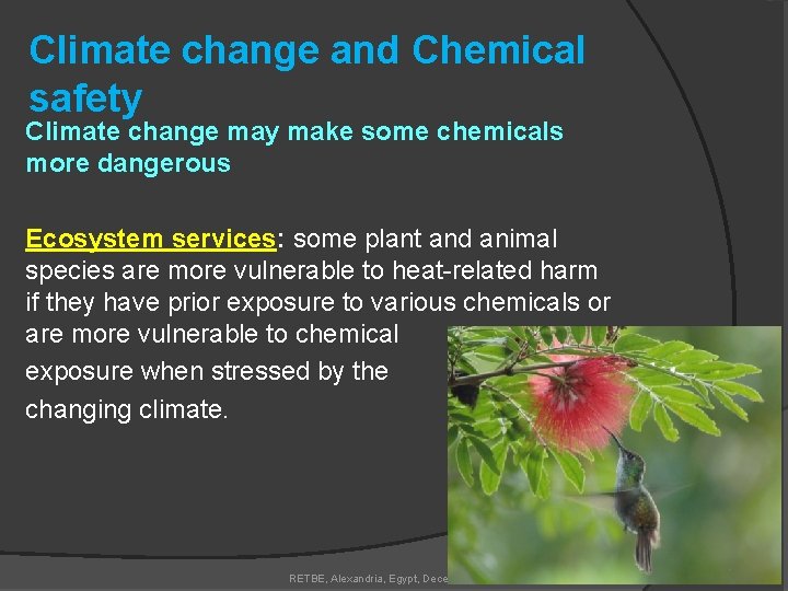 Climate change and Chemical safety Climate change may make some chemicals more dangerous Ecosystem
