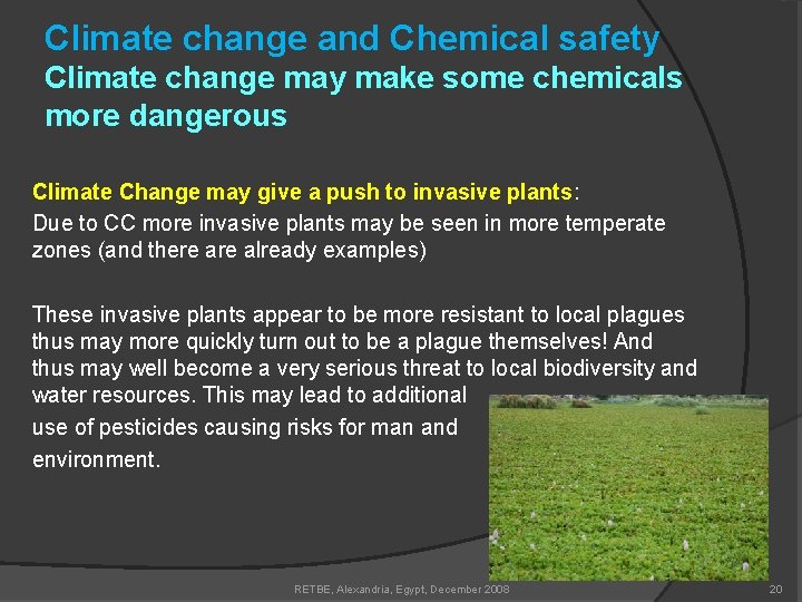 Climate change and Chemical safety Climate change may make some chemicals more dangerous Climate