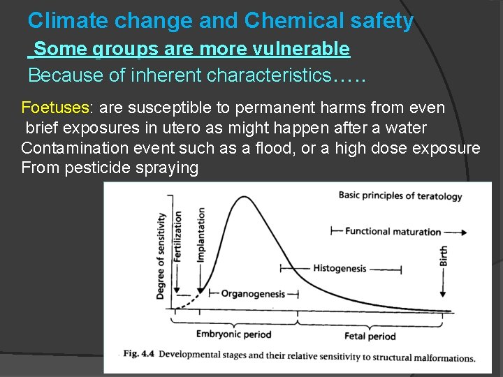 Climate change and Chemical safety Some groups are more vulnerable Because of inherent characteristics….