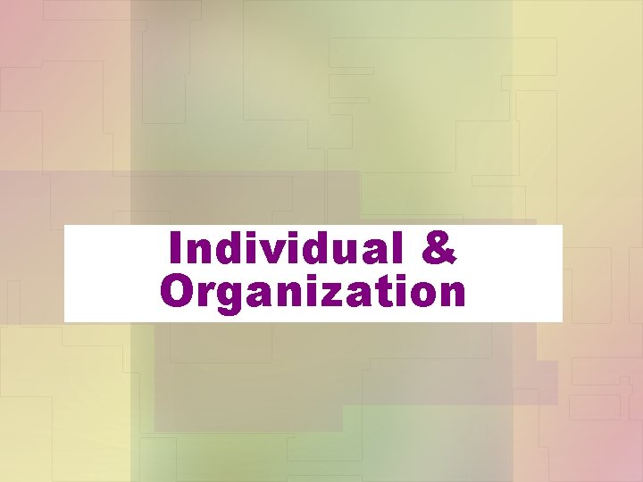 Individual & Organization 