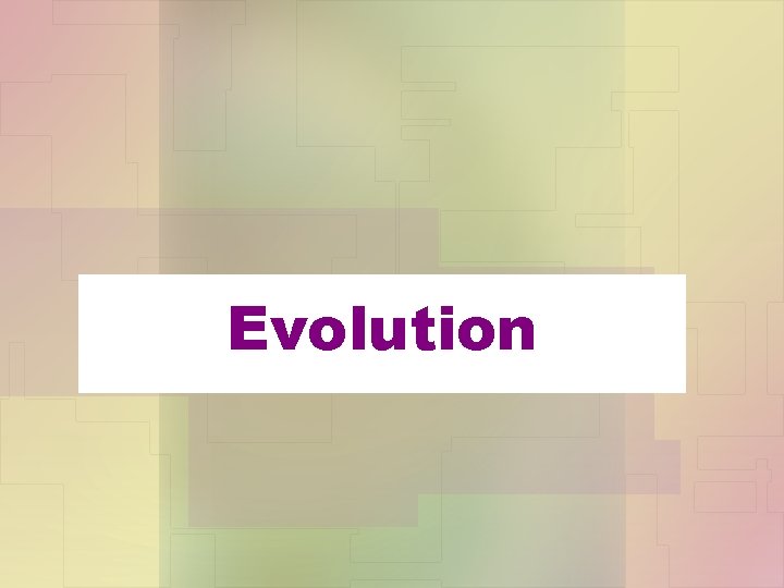 Evolution 