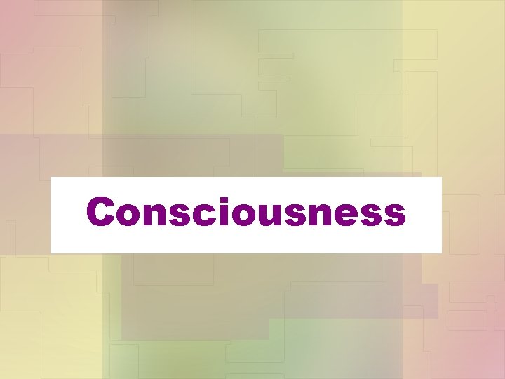 Consciousness 