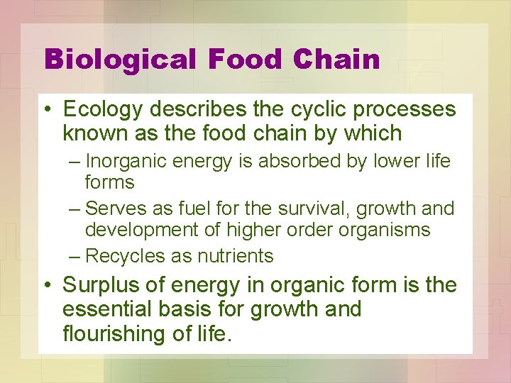 Biological Food Chain • Ecology describes the cyclic processes known as the food chain