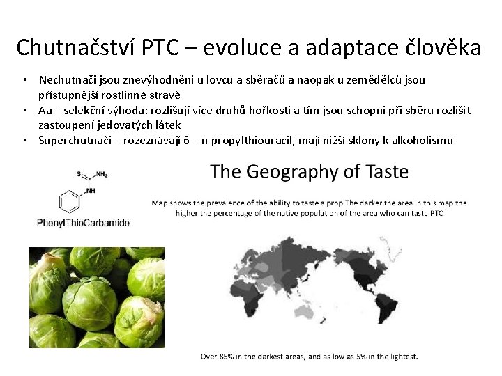 Chutnačství PTC – evoluce a adaptace člověka • Nechutnači jsou znevýhodněni u lovců a