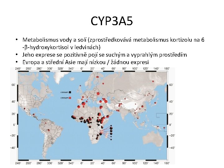 CYP 3 A 5 • Metabolismus vody a solí (zprostředkovává metabolismus kortizolu na 6