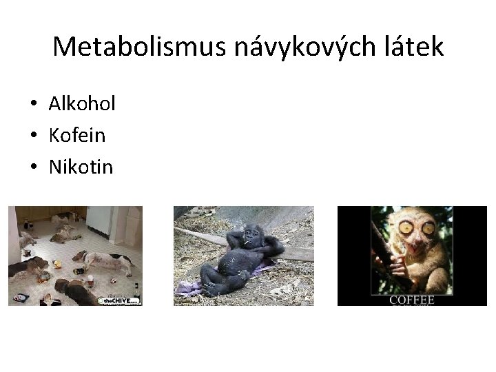 Metabolismus návykových látek • Alkohol • Kofein • Nikotin 