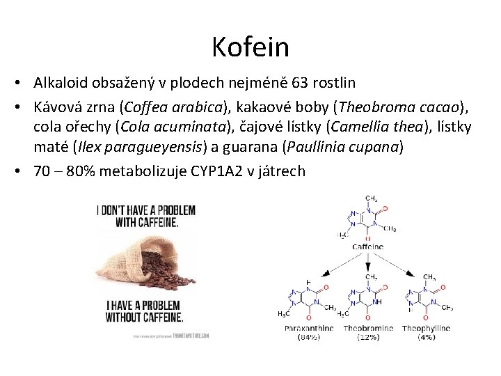 Kofein • Alkaloid obsažený v plodech nejméně 63 rostlin • Kávová zrna (Coffea arabica),