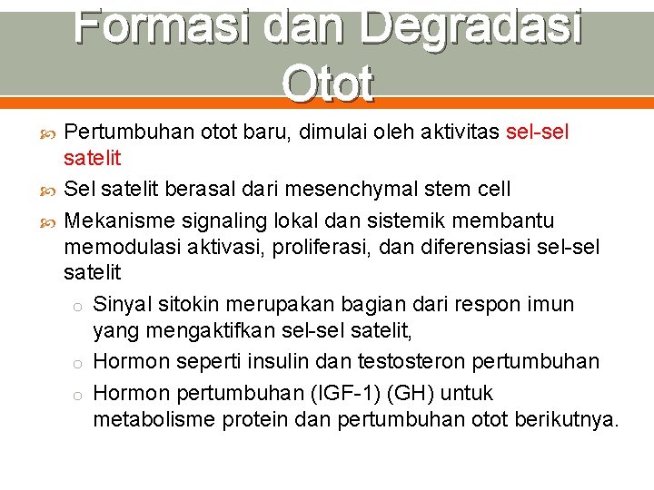 Formasi dan Degradasi Otot Pertumbuhan otot baru, dimulai oleh aktivitas sel-sel satelit Sel satelit