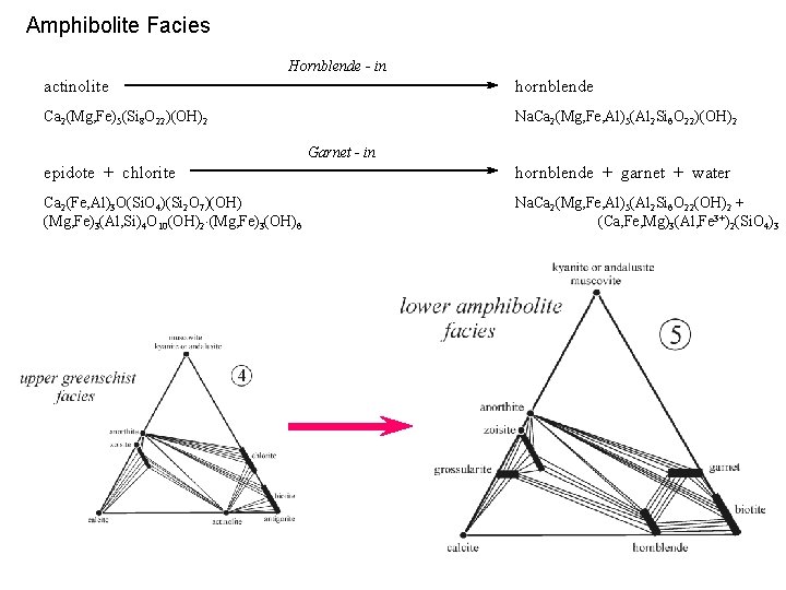 Amphibolite Facies Hornblende - in actinolite hornblende Ca 2(Mg, Fe)5(Si 8 O 22)(OH)2 Na.