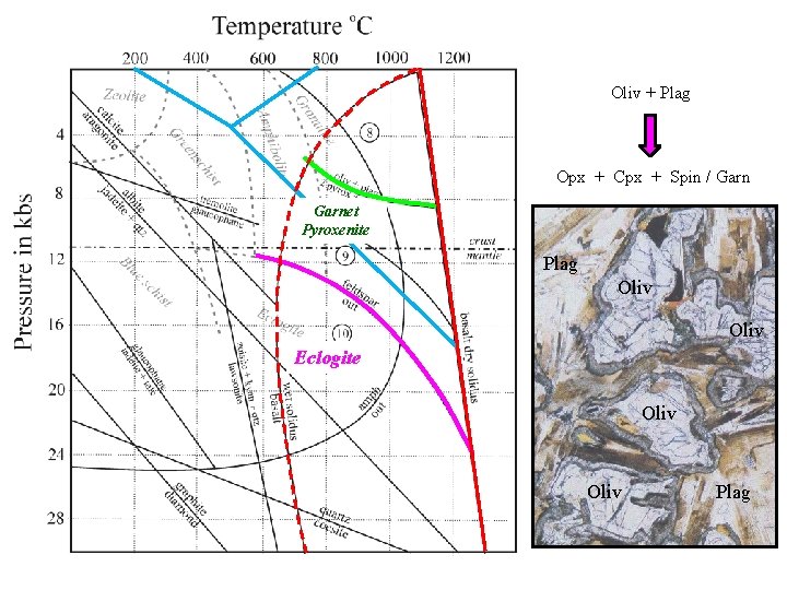 Oliv + Plag Opx + Cpx + Spin / Garnet Pyroxenite Plag Oliv Eclogite