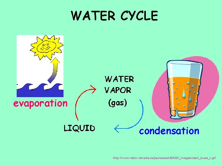 WATER CYCLE evaporation condensation http: //www. radio-canada. ca/jeunesse/fd 6/000_images/cat/c_buee_c. gif 