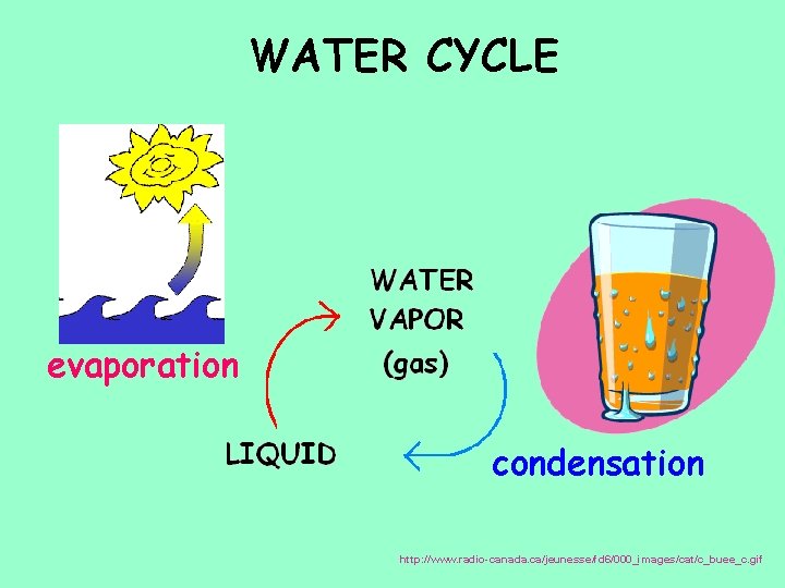WATER CYCLE evaporation condensation http: //www. radio-canada. ca/jeunesse/fd 6/000_images/cat/c_buee_c. gif WATER CYCLE evaporation condensation http: //www. radio-canada. ca/jeunesse/fd 6/000_images/cat/c_buee_c. gif