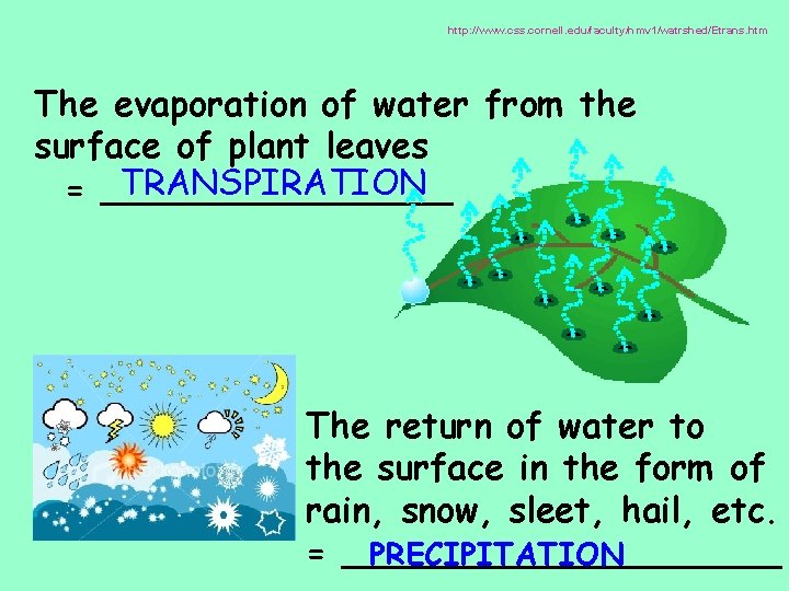 http: //www. css. cornell. edu/faculty/hmv 1/watrshed/Etrans. htm The evaporation of water from the surface