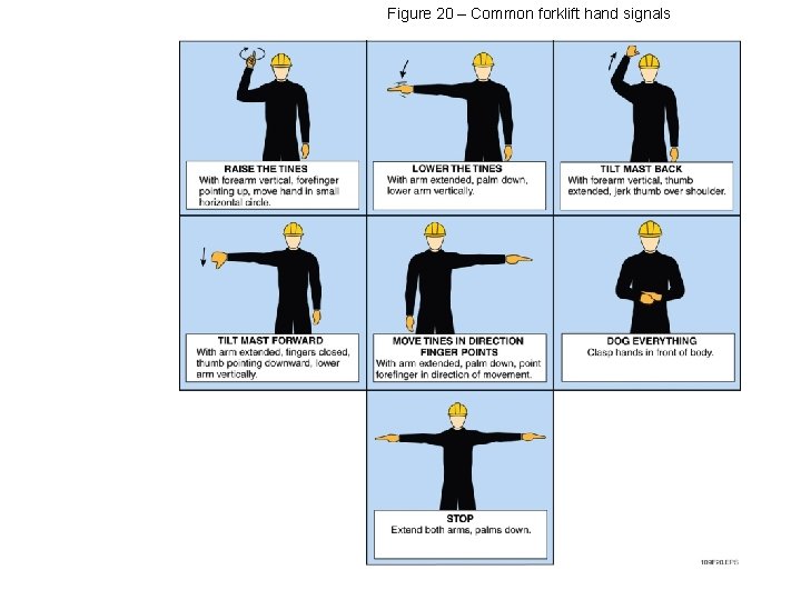 Figure 20 – Common forklift hand signals 