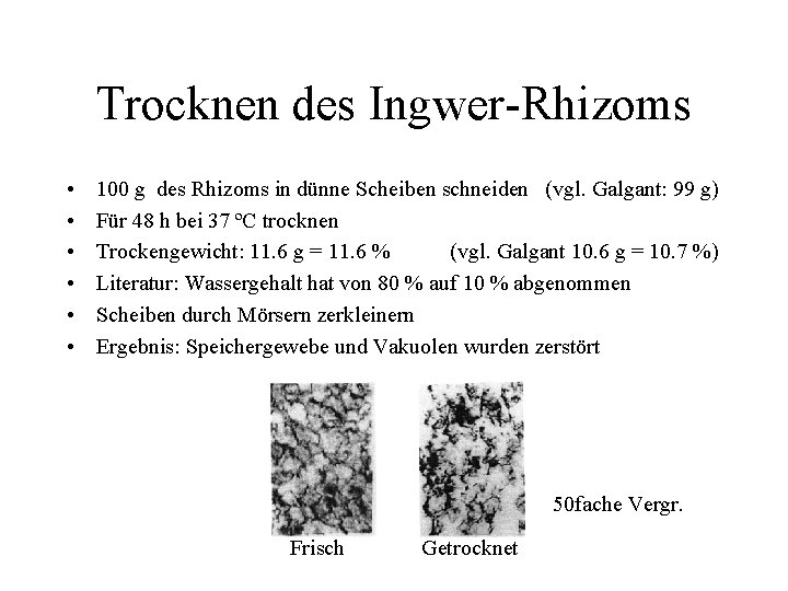 Trocknen des Ingwer-Rhizoms • • • 100 g des Rhizoms in dünne Scheiben schneiden