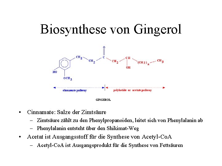 Biosynthese von Gingerol • Cinnamate: Salze der Zimtsäure – Zimtsäure zählt zu den Phenylpropanoiden,