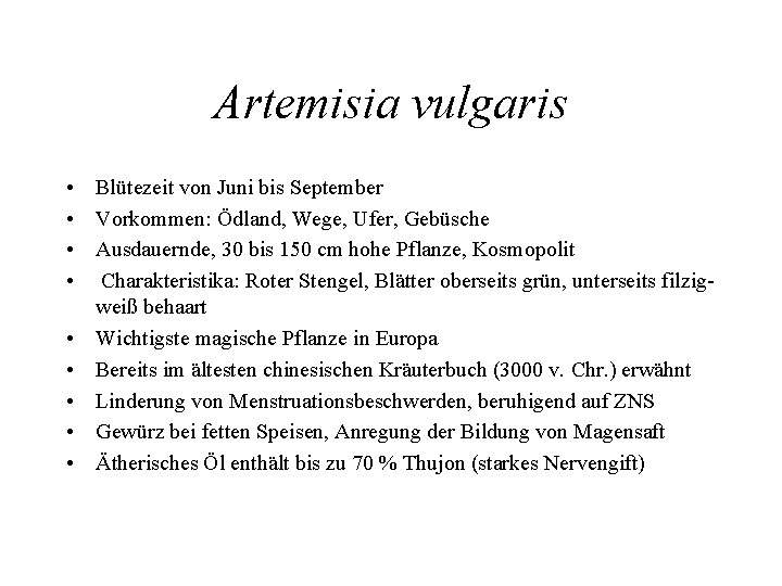 Artemisia vulgaris • Blütezeit von Juni bis September • Vorkommen: Ödland, Wege, Ufer, Gebüsche