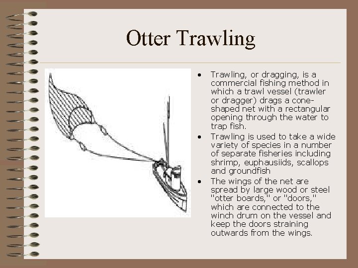 Otter Trawling • • • Trawling, or dragging, is a commercial fishing method in