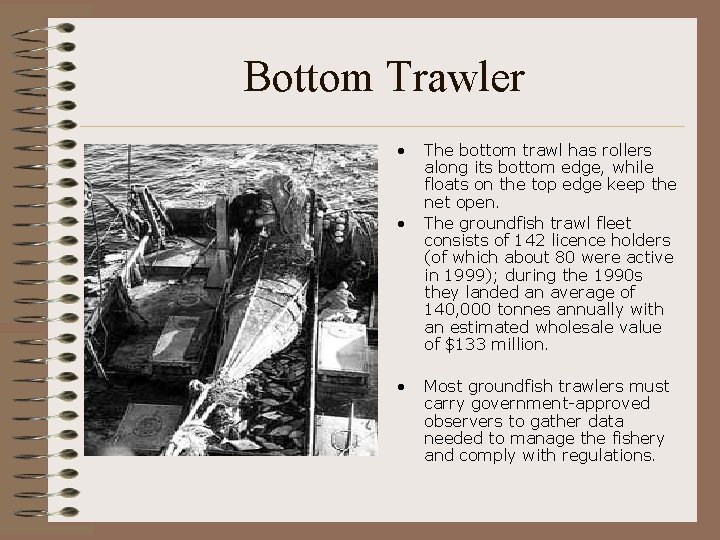 Bottom Trawler • • • The bottom trawl has rollers along its bottom edge,