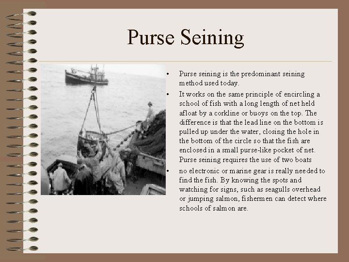 Purse Seining • Purse seining is the predominant seining method used today. • It