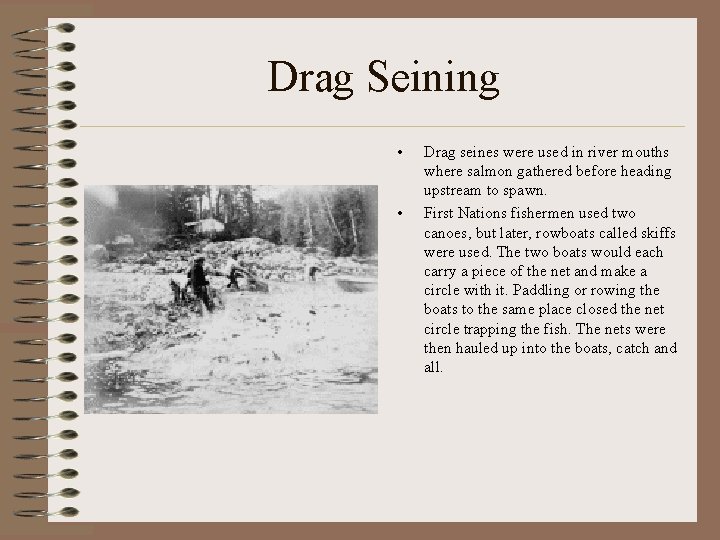Drag Seining • • Drag seines were used in river mouths where salmon gathered