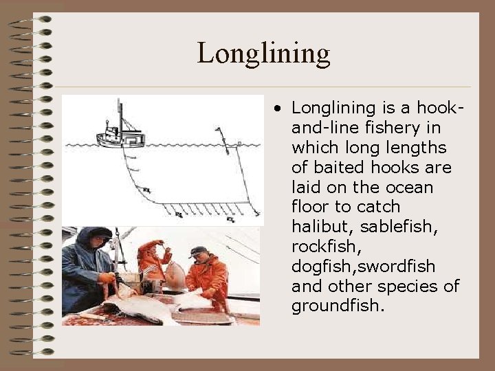 Longlining • Longlining is a hookand-line fishery in which long lengths of baited hooks