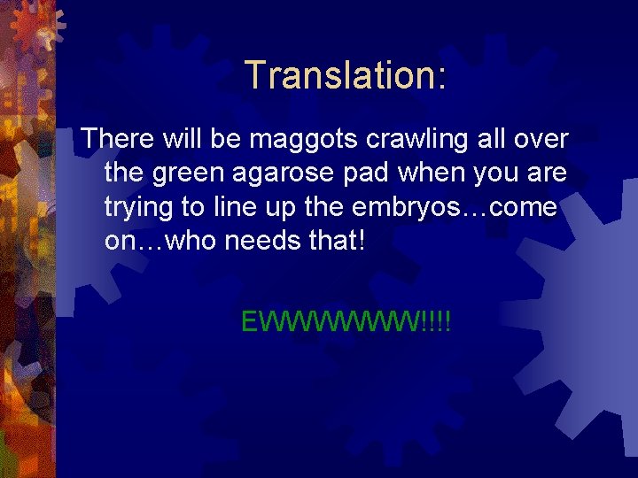 Translation: There will be maggots crawling all over the green agarose pad when you
