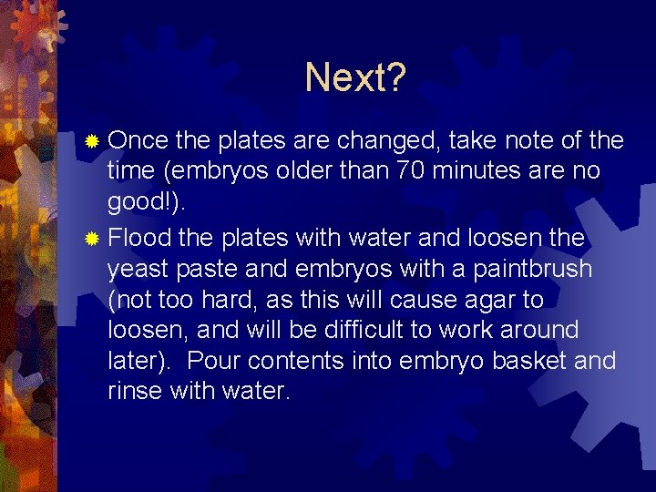 Next? ® Once the plates are changed, take note of the time (embryos older