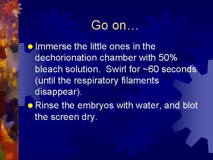 Go on… ® Immerse the little ones in the dechorionation chamber with 50% bleach