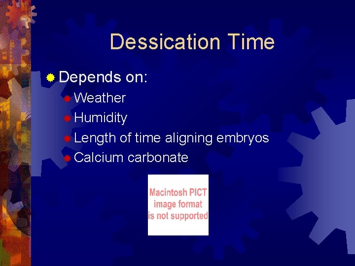 Dessication Time ® Depends on: ® Weather ® Humidity ® Length of time aligning