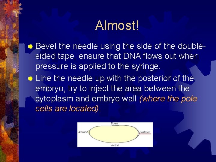 Almost! ® Bevel the needle using the side of the doublesided tape, ensure that